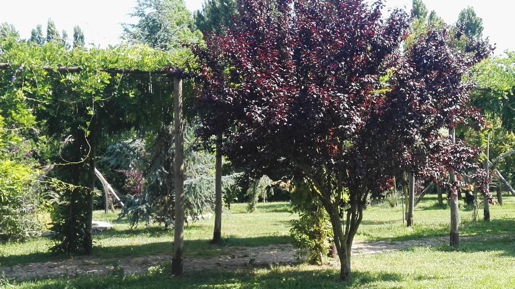Vila Tenuta Le Pantanelle Sezze Exteriér fotografie