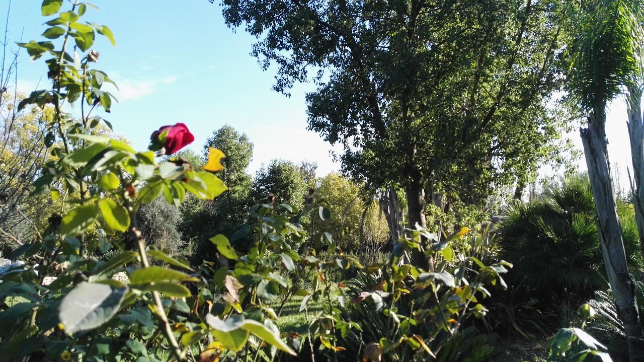 Vila Tenuta Le Pantanelle Sezze Exteriér fotografie